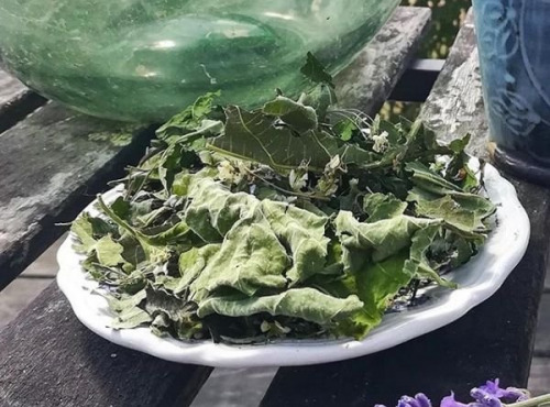 La Cabane à plantes - Infusion Litha