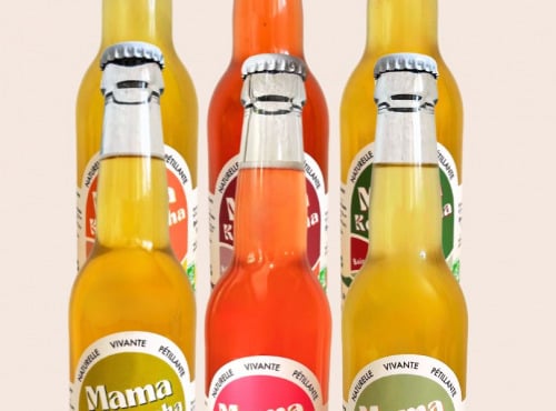 Mama Kombucha - LE PACKOMBUCHA 6 X 33cl