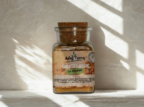 Adal Terra - Epices - Gingembre Bio (en poudre) 60G