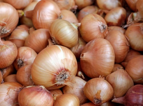 La Ferme de Goas Per - Oignon jaune bio - 500gr