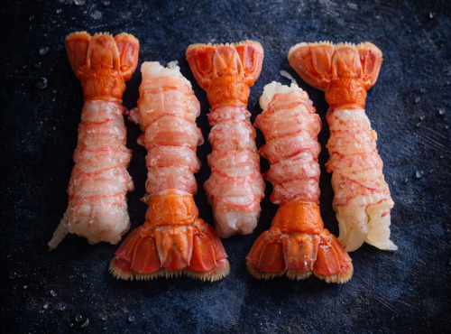 La Maison du Homard - Langoustines mi-cuites décortiquées (calibre 6/9) x 10