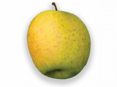 Pom Bio Berger - Pomme Délisdor Bio 1kg