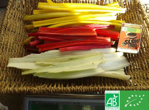 LES JARDINS DE KARINE - Côtes de blettes - 1kg