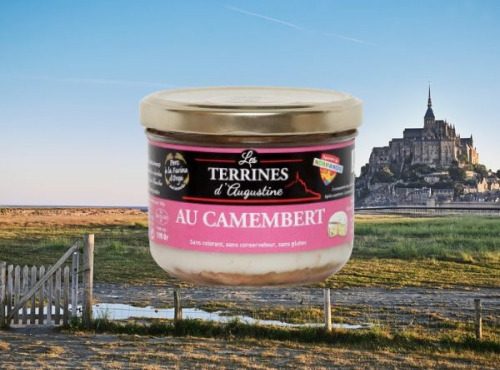 La Chaiseronne - TERRINE AU CAMEMBERT