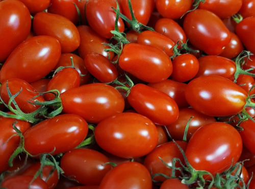 Le Pré de la Rivière - Tomate cerise rouge allongée Bio - Origine France