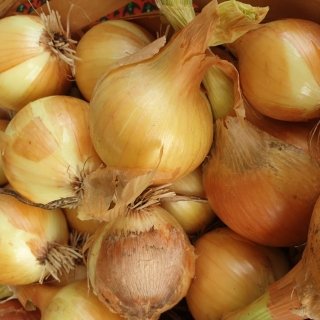 La Ferme de Milly - Anjou - OIGNON JAUNE