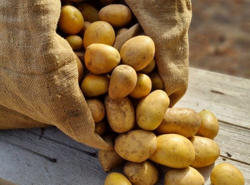 Les Jardins de l'Osme - Pommes de terre jaune bio - 10kg