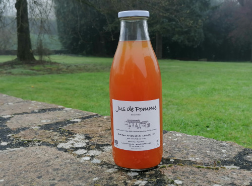 Domaine Fourmond Lemorton - Jus de Pomme BIO