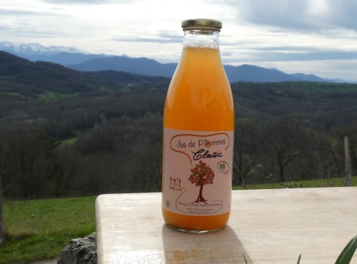 Terres EnVie - Jus De Pommes Bio « classic » Variétés Anciennes