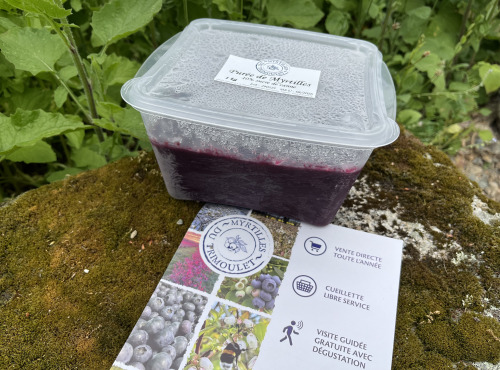 Myrtilles du Trimoulet - Purée Myrtilles - Pot de 1 Kg