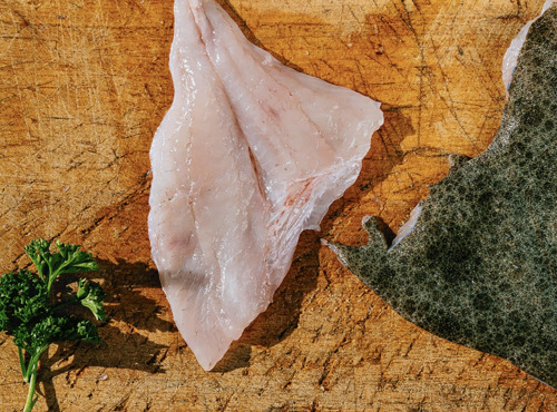 Côté Fish - Mon poisson direct pêcheurs - Filets De Turbot 300g