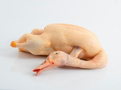 Maison Paris - Canard gras entier du Sud Ouest Avec Foie