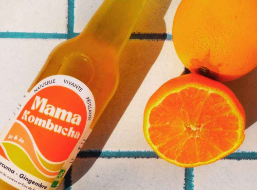 Mama Kombucha - Mama Kombucha – Curcuma Gingembre – Boisson fermentée artisanale bio (carton 6x33cl)