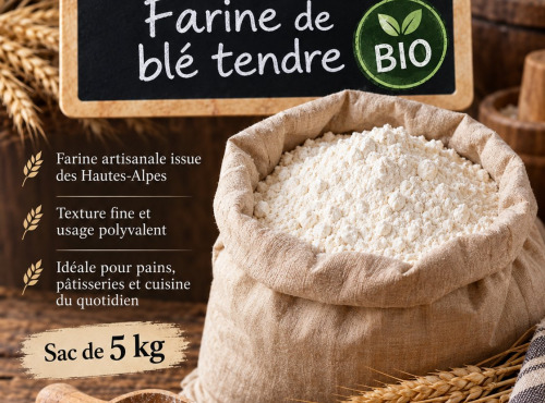 L'OLIVERAIE DU COUDON - [Précommande] FARINE DE BLÉ TENDRE BIO ( HAUTES ALPES ) 5KG