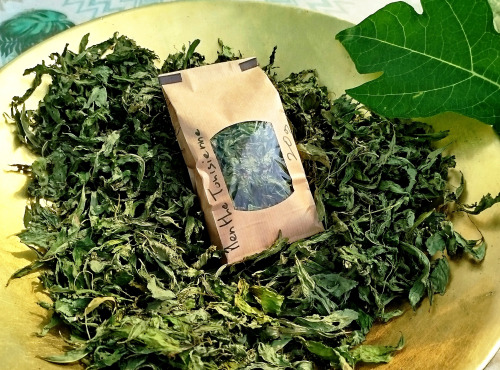 Nature et Saveurs - Ferme Aquaponique et Permacole Astérienne - Tisane de Menthe Tunisienne