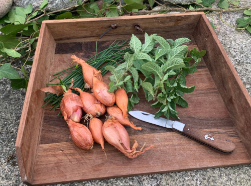 La Malle w. Trousseau - Planche à Tout en Noyer