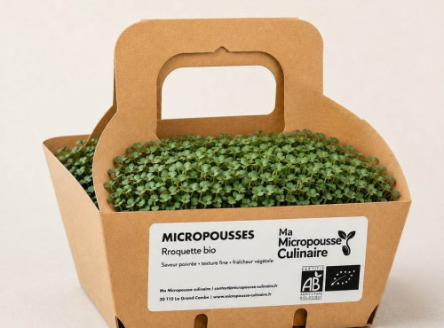 Ma Micropousse culinaire - Micro-pousses bio de roquette