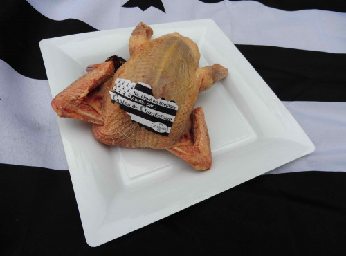 Cailles de Chanteloup - [SURGELE] Pigeonneau Halal 300/400g