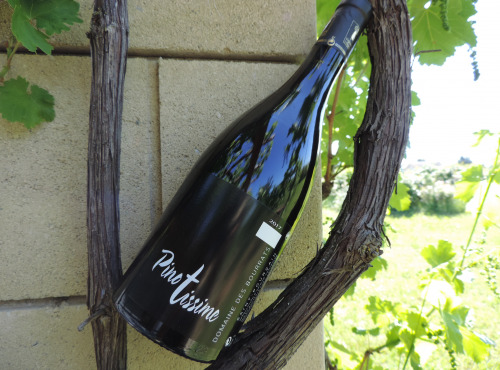 Domaine des Bourrats - Saint Pourçain AOC Rouge Cuvée Pinotissime