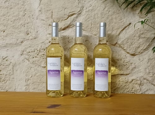 Domaine Les Conques Soulière - AGA 3x75cl Blanc Cuvée Agarrus