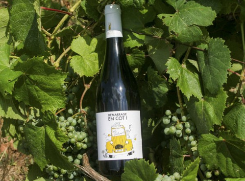 Domaine la Paganie - Vin Rouge nature - Démarrage en COT - 1 bouteille
