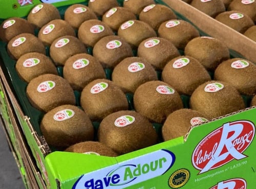 La Ferme du Tastet - Kiwis de l'Adour IGP Label Rouge 6kg