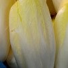 Ferme Joos - Endive - 5kg