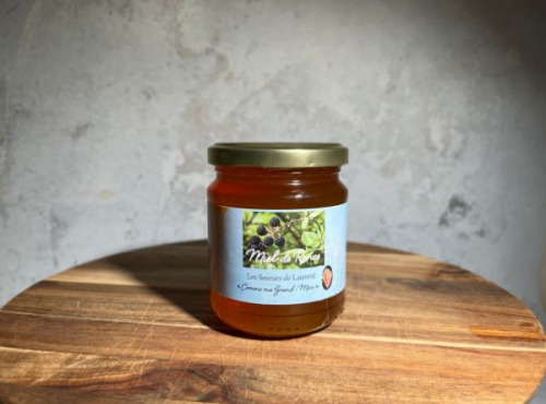 Les Saveurs de Laurent Cabrol - Miel de Ronce 250g