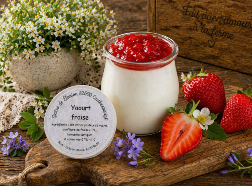 Gaec de l'Elanion - Yaourt Confiture Fraise 125g