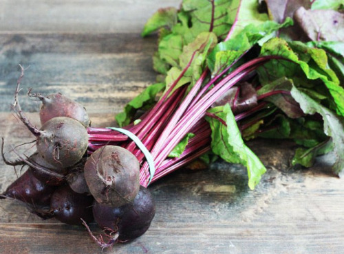 ChâteauFer - Betterave botte 500g