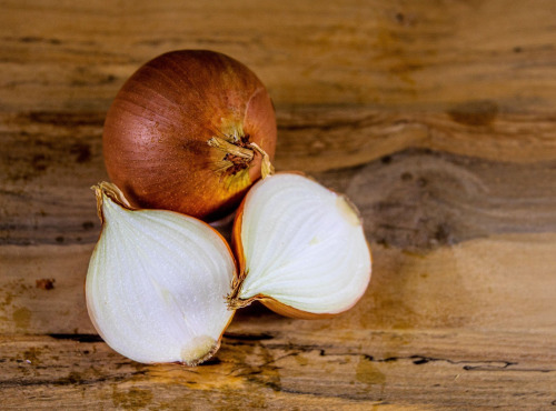 Nature et Saveurs - Ferme Aquaponique et Permacole Astérienne - Oignon jaune - 2Kg