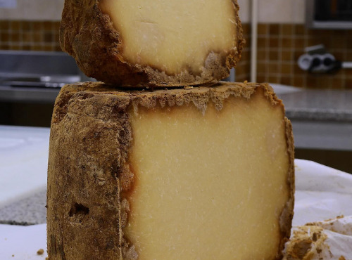 Alléosse Maitre Artisan Affineur Fromager - Salers Extra-vieux AOP au lait cru