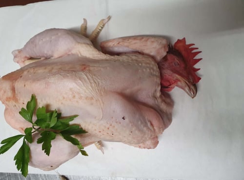 Ferme de la Paumerais - [Précommande] COQ JEUNE (x1) - 2 Kg