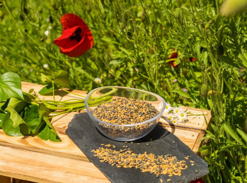 Sa Majesté la Graine - Mélange Petit Épeautre/lentilles Vertes de France - BIO - 500g