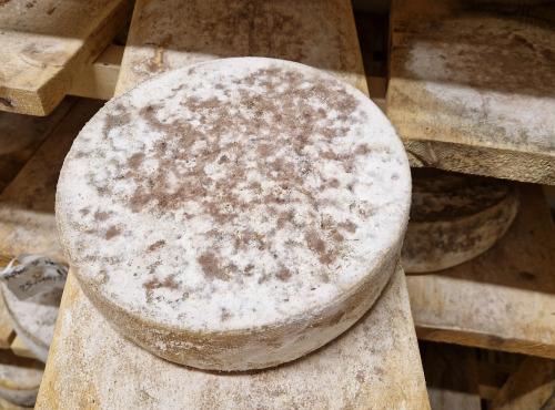 Ferme Lait Prés Verts - Tomme le Gaulois - Bio - 250 g