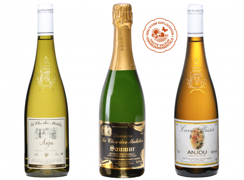 Château de Belleville Maison Baron - Découverte De Nos Vins Secs