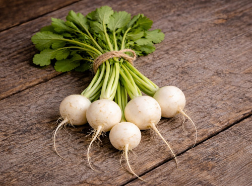 Nature et Saveurs - Ferme Aquaponique et Permacole Astérienne - Mini navets polaires gastronomiques – douceur et précision