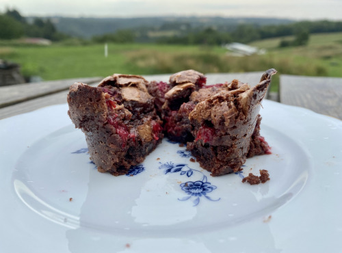 Ferme Sinsac - lot de 5 x Fondant au chocolat et framboises du jardin (4 x 95 grs)