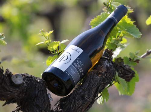 Domaine Daridan - Vin AOC Cour-Cheverny Blanc - 2022 - 6x75cl