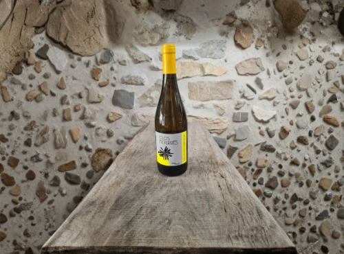 Lou Canesteou - Côte du Rhône Blanc Domaine Clos des Mourres 75cl