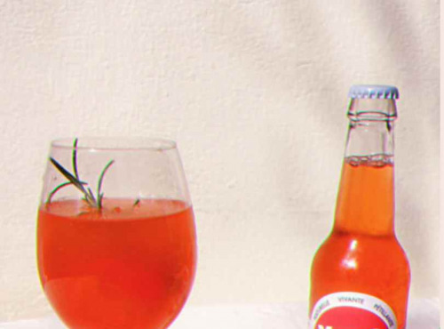 Mama Kombucha - Mama Kombucha – Framboise  Basilic – Boisson fermentée artisanale bio (carton 6x33cl)