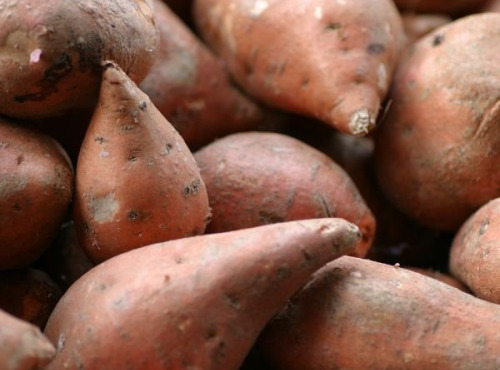 Les Champs Paradis - Patates Douce