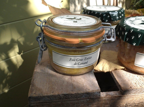 Les Moulins Aufiés - Foie gras entier de canard 120g