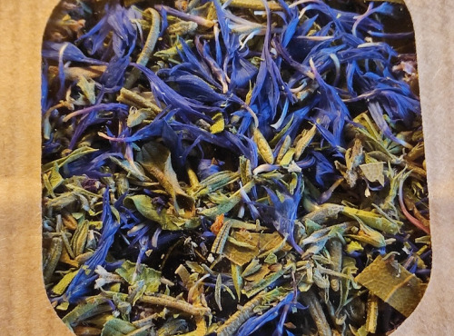 Les Jardins du Mas de Greil - Grillade Azurée