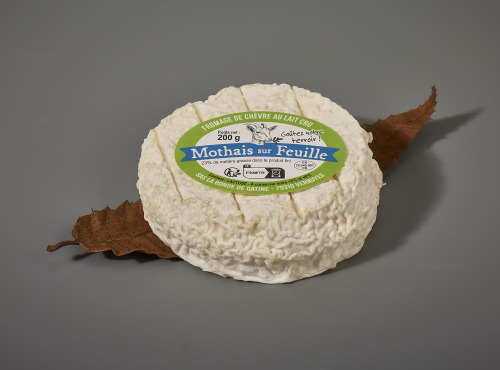 Laiterie de Pamplie - Mothais sur feuille AOC