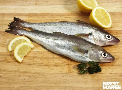 Brest Marée - Merlan - pièce de 350g