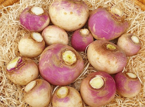 Les Champs Paradis - Navets "Primeur" Botte