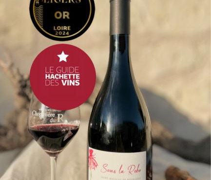 Domaine de la Chopinière du Roy - Vin rouge Saint Nicolas de Bourgueil - Cuvée Sous la Robe 2023 - 6x75cl