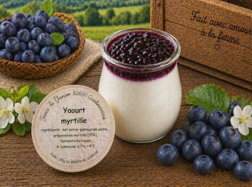 Gaec de l'Elanion - Yaourt Myrtille 125g