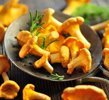 Elissalde Le Potager Basque - Girolles Fraîches Du Pays Basque - 500g
